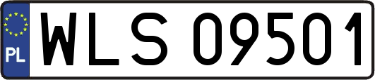 WLS09501