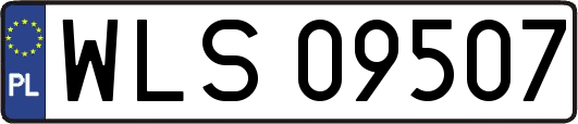 WLS09507