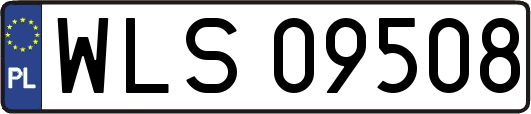 WLS09508