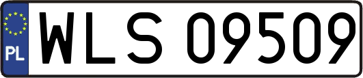WLS09509