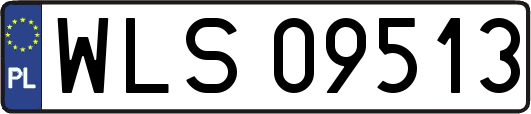 WLS09513