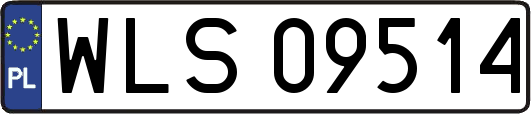 WLS09514