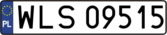 WLS09515