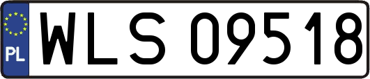 WLS09518