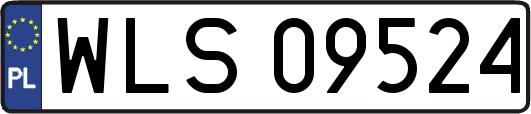 WLS09524