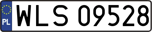 WLS09528