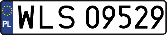 WLS09529