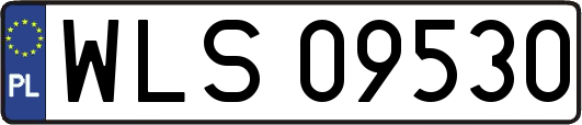 WLS09530
