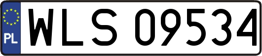 WLS09534