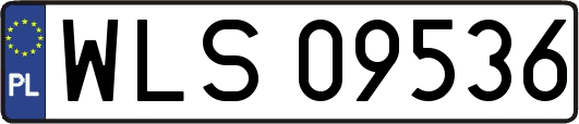 WLS09536