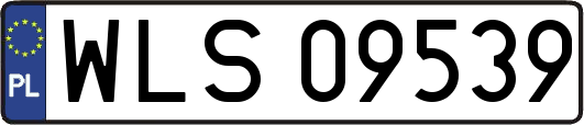 WLS09539