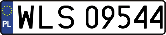 WLS09544