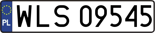 WLS09545