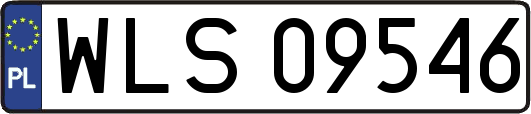 WLS09546