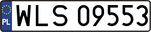 WLS09553