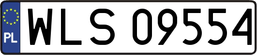 WLS09554