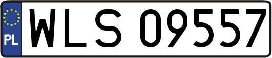 WLS09557
