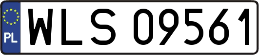 WLS09561