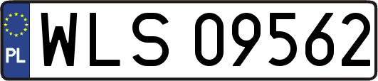 WLS09562