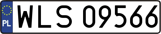 WLS09566