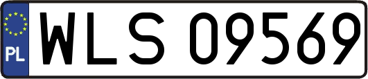 WLS09569