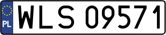 WLS09571