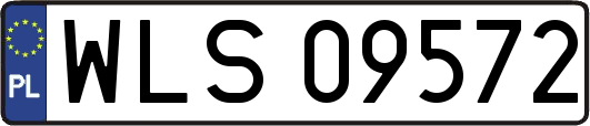 WLS09572
