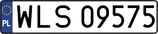 WLS09575