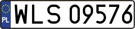 WLS09576