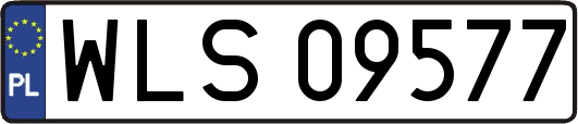 WLS09577