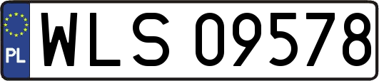 WLS09578