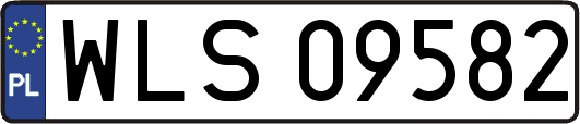 WLS09582