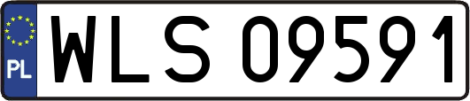 WLS09591