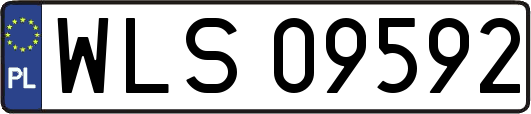 WLS09592