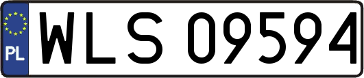 WLS09594
