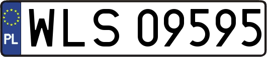 WLS09595