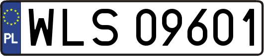 WLS09601