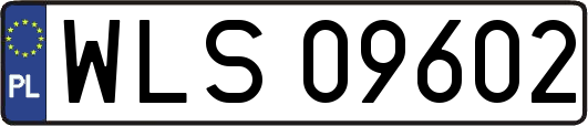 WLS09602