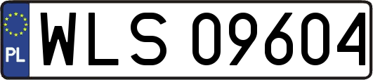 WLS09604