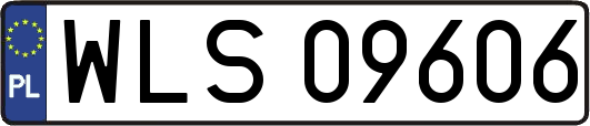 WLS09606