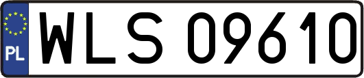 WLS09610