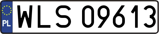 WLS09613
