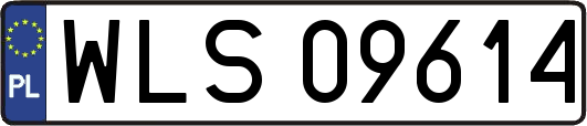 WLS09614