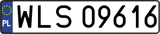 WLS09616