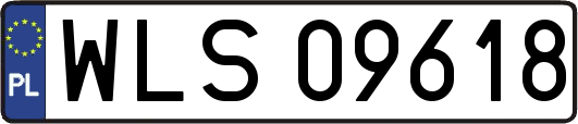 WLS09618