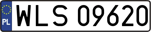 WLS09620