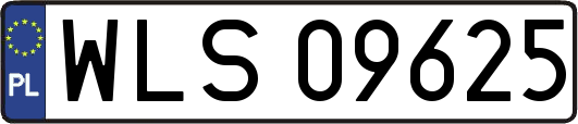 WLS09625