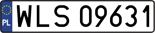 WLS09631