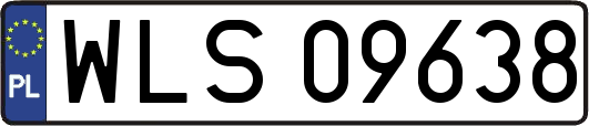 WLS09638