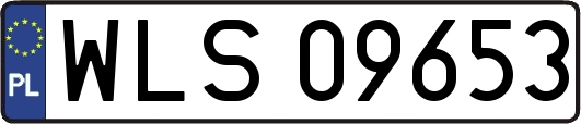 WLS09653